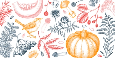Warm autumn banner in sketch style. Fall leaves, pumpkins, berries, mushrooms hand-drawn vector illustrations. Vintage botanical banner design. NOT AI generated